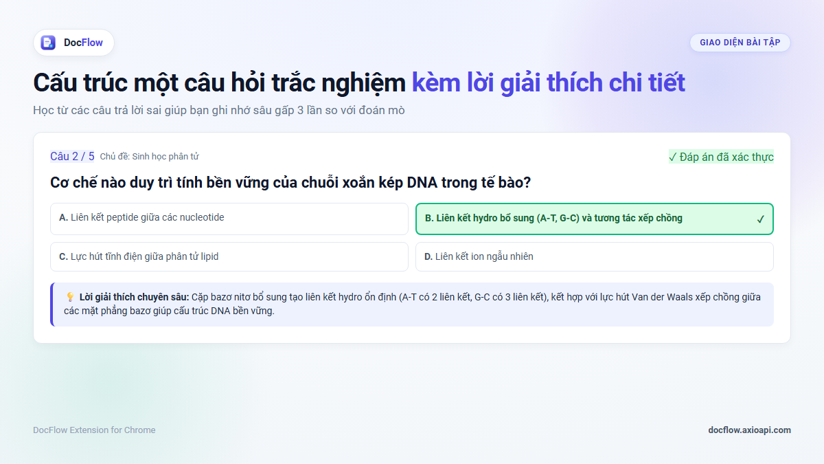 Giao diện trắc nghiệm DocFlow với câu hỏi, các lựa chọn và lời giải thích cụ thể